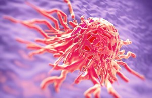 癌と闘う為に使われる薬草