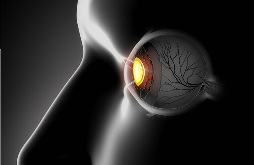 視力を良くする健康シェイク 視力を良くする健康シェイク