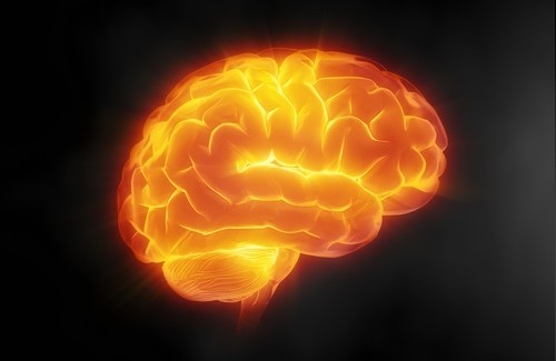 脳をいたわる７つの秘訣