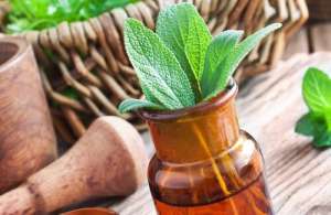 積み重なった信頼と実績の薬草 ベスト15