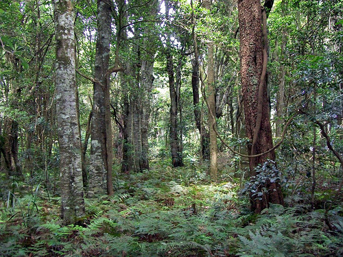 マイナスイオンを感じられる場所に行きましょう