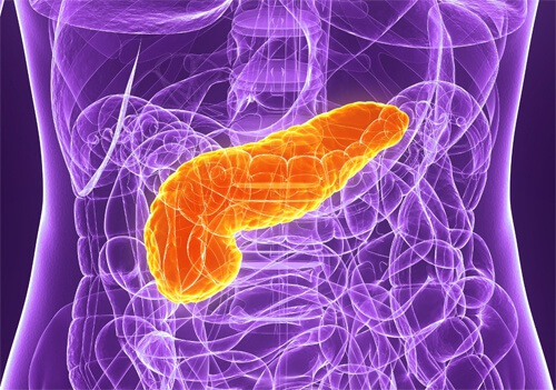 膵臓をケアするための5つのアドバイス