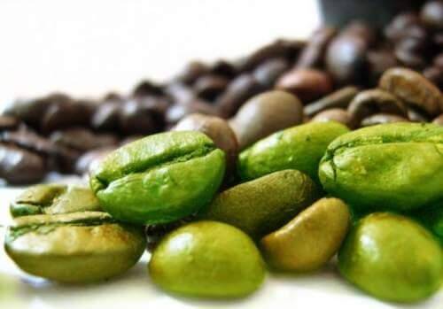 緑のコーヒー豆
