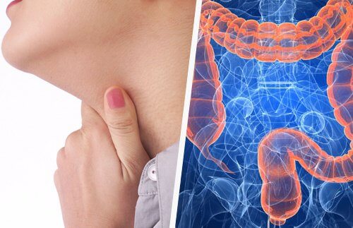 喉の問題と腸の関係