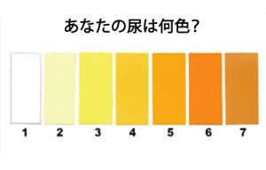 尿で健康状態がわかる/8つのタイプの尿