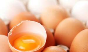 卵白と卵黄どちらが健康的？