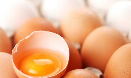 卵白と卵黄どちらが健康的？