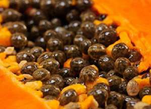 パパイヤシードの効能