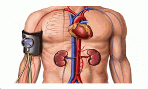 医薬品に頼らずに血圧を下げる方法