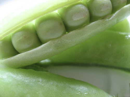 豆