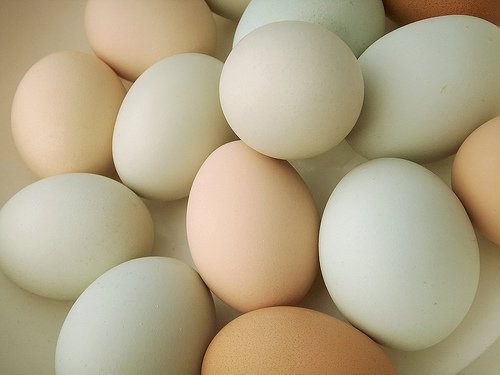 卵は週に何個食べてもいいか？