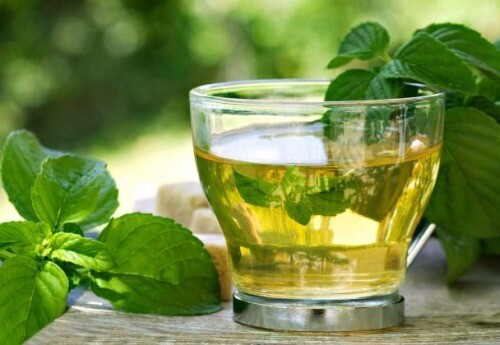 ボルド茶の飲み方