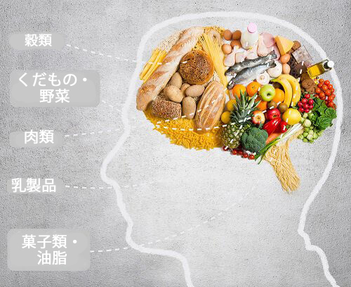 栄養と脳