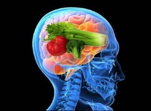脳の健康を保つ食生活