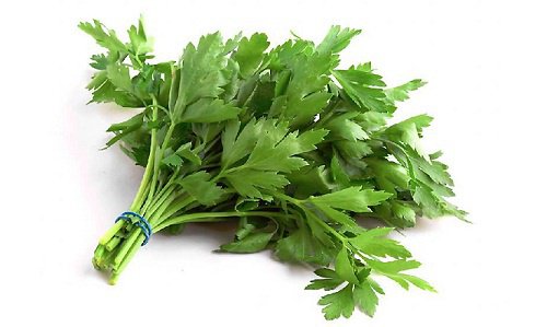 パセリは腎臓の健康に良い薬草です