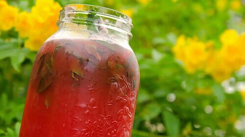 スイカのお茶