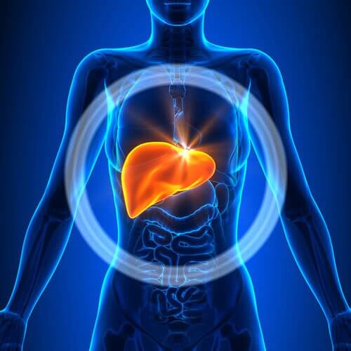 2-cleanse-the-liver