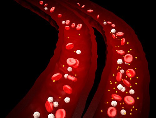 3-blood-cells
