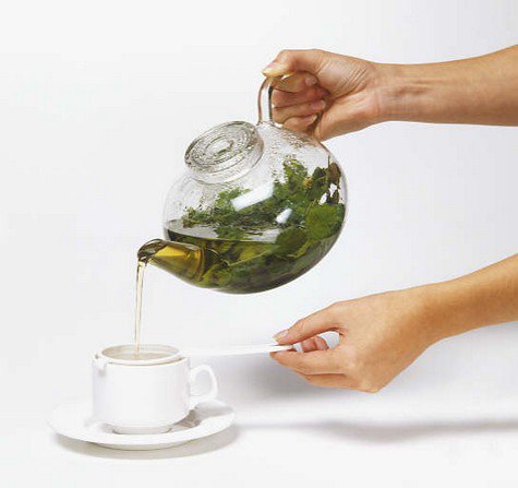 infusion-de-fucus-para-adelgazar