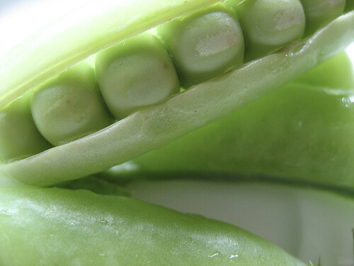 豆類はダイエットにも最適