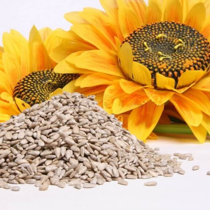 sunflower-seeds