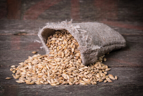 2-barley-treatments
