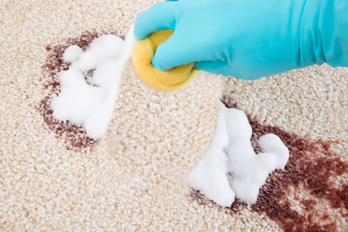 2-carpet-cleaner