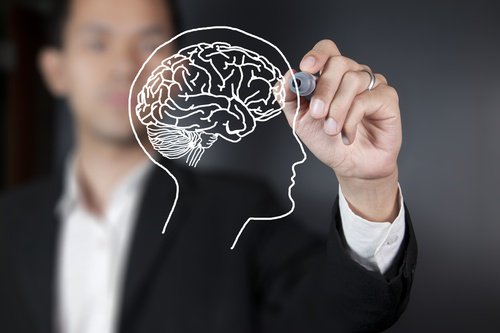 2-the-brain