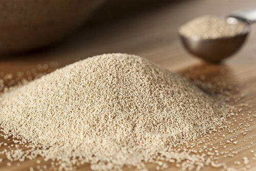 4-brewers-yeast