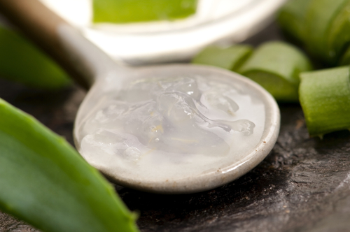 Aloe-vera-estrias