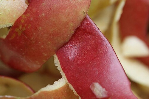 フルーツの皮って食べるべき？
