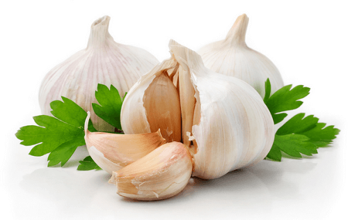 garlic