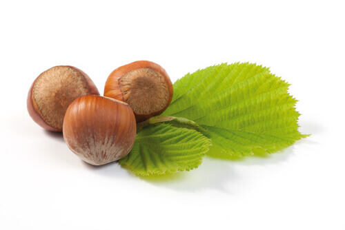 hazelnuts