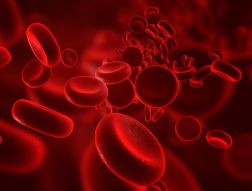 2-blood-cells