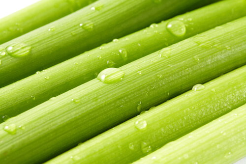 2-celery