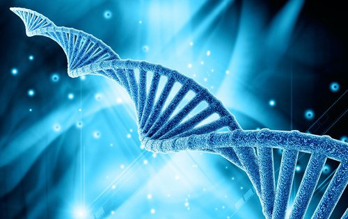 2-genetics