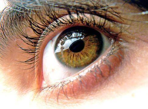 3-healthy-eyes