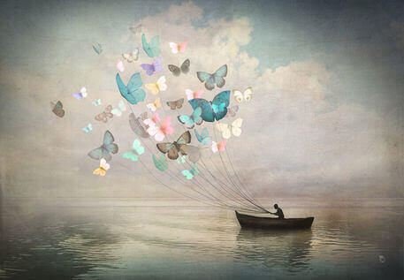 4-butterflies-and-boat