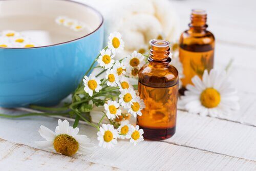 4-chamomile