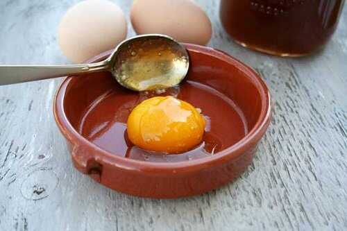 egg