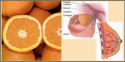 oranges-mammaries