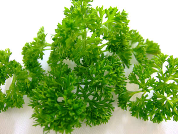 parsley1