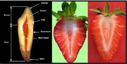 strawberries-teeth