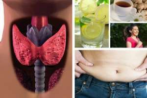 甲状腺機能低下症になった時の減量法