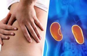 腎臓病を防ぐための4つのアドバイス