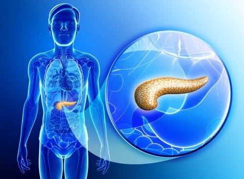 Advice-for-pancreatic-care