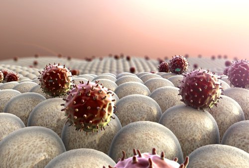 Strengthen-the-immune-system