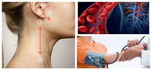 血圧を5分で自然に下げる方法