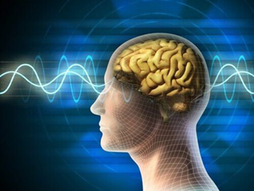 電磁放射の脳への影響