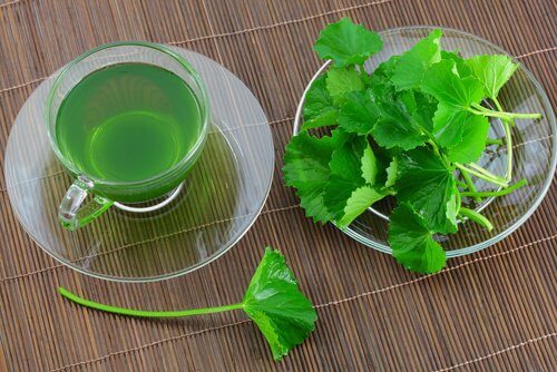 4-parsley-tea